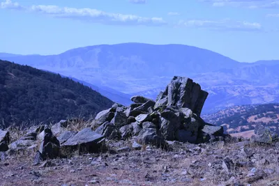 DSC_2248 (Large).JPG